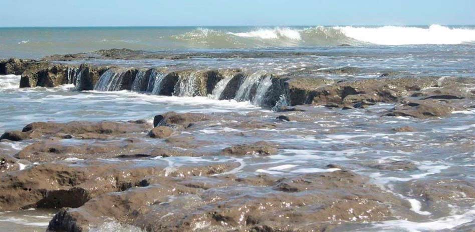 Jornada internacional sobre los beneficios del consumo de agua de mar se realizará en octubre