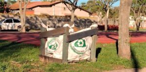 Acciones ambientales en Coronel Dorrego Picnic Comunitario y otras iniciativas