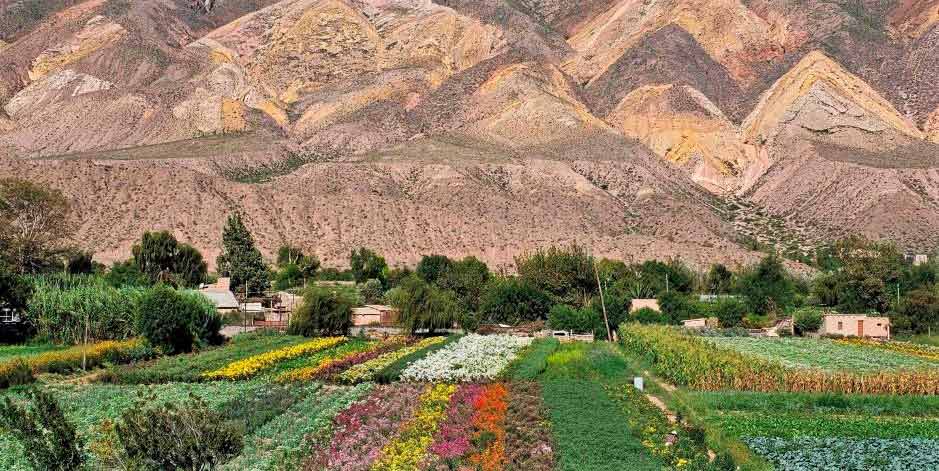 Dos pueblos argentinos destacados por ONU Turismo como mejores destinos rurales