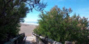 Clima en el Día de la Madre y perspectivas para la próxima semana en nuestra región