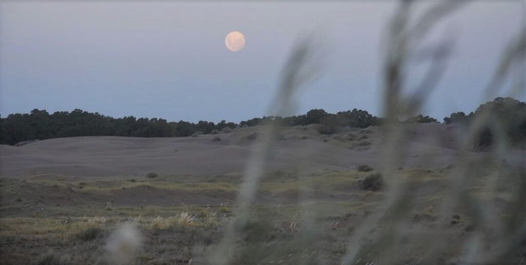 Cuando y como ver la superluna la luna llena mas grande y brillante del año