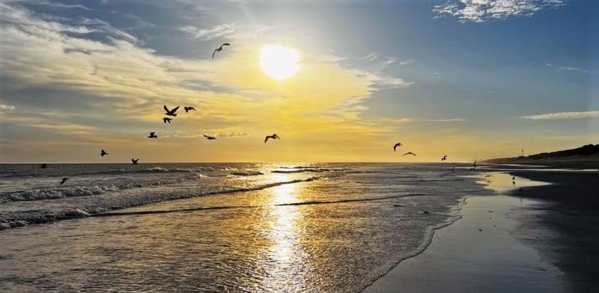 Pronostico del tiempo en Monte Hermoso y Sauce Grande tercera semana de noviembre