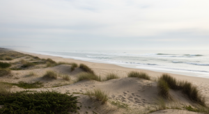 Clima en Monte Hermoso y Sauce Grande: Pronóstico y mareas para la segunda semana de abril